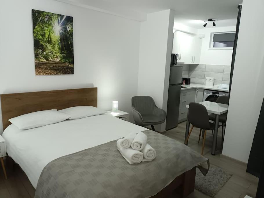 Old Town Studio 1 Apartment Nr 1 Baia Mare Exterior foto