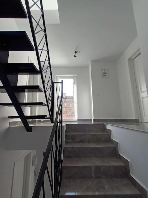 Old Town Studio 1 Apartment Nr 1 Baia Mare Exterior foto